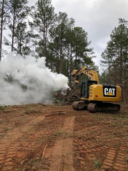  Land Clearing