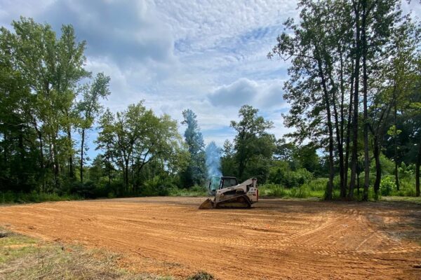 skid stear clearing brush